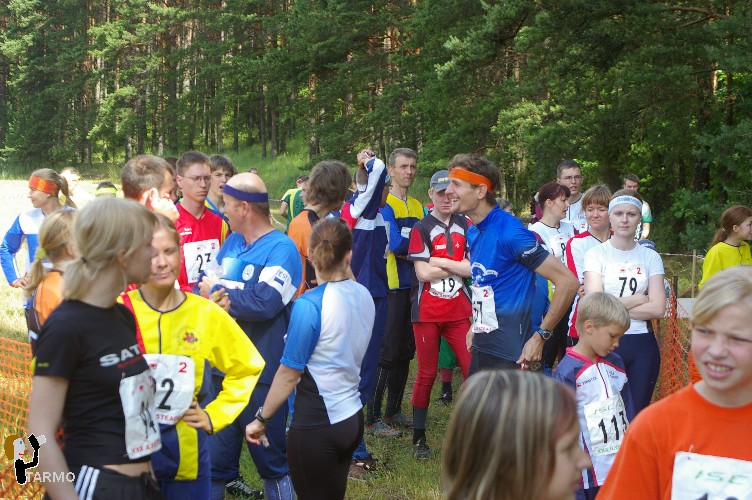 Ilvesteade 2008