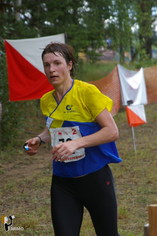 Ilvesteade 2008
