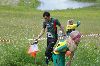 31. Ilvesteade