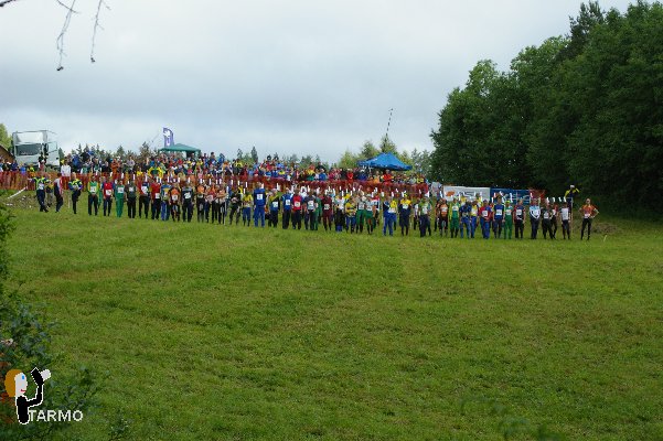 31. Ilvesteade