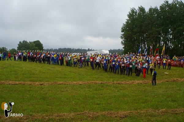 31. Ilvesteade