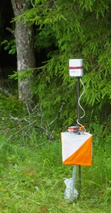 ROTA Ilvesteate 3.päeval