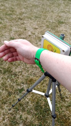 Viipriga aja viiparmine